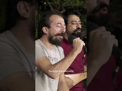Marsis & Gizli Bahçe Akustik #shorts