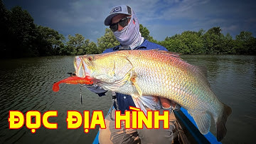 Câu Lure Cá Chẽm Đầm Bình Đại 10 Năm Để Có Kinh Nghiệm Mà Không Phải Ai Cũng Biết