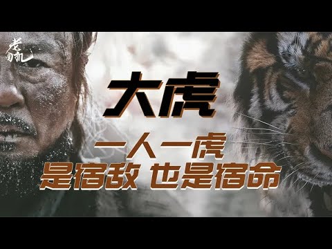 【電影推薦】【高分電影】韓國滿分電影《大虎》人與野獸的人情世故，一人一虎互為因果，是宿敵也是宿命
