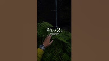 اكتب شي تؤجر عليه 🌱🤍 | القارئ اسلام صبحي | قرآن كريم