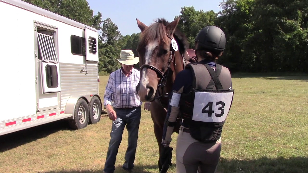 Marlborough Horse Trials September 21, 2019 YouTube