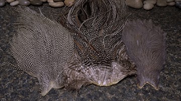 Different Kinds of Hackle