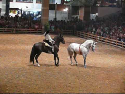 ConCab 2009 _Dos espectculos_Pasi...  y Riendas Largas a Caballo