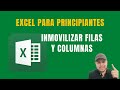 Como inmovilizar filas y columnas en excel