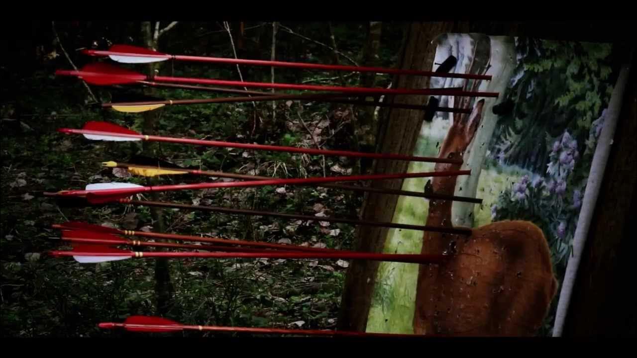 Стрела в воздухе. Летящая стрела. Летящая стрела. Стрела в полете. Летящая стрела.