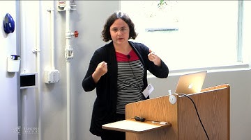 Working Memory Influences Reinforcement Learning Computations in Brain and Behavior