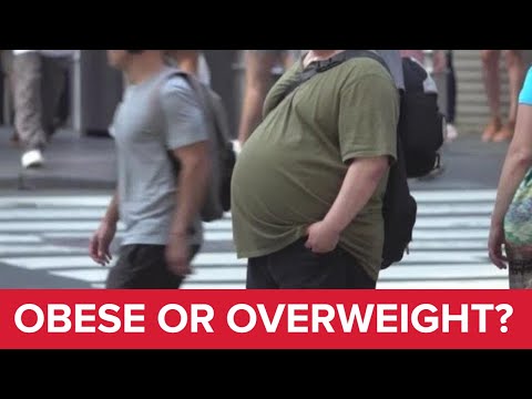 What qualifies as obese or overweight?