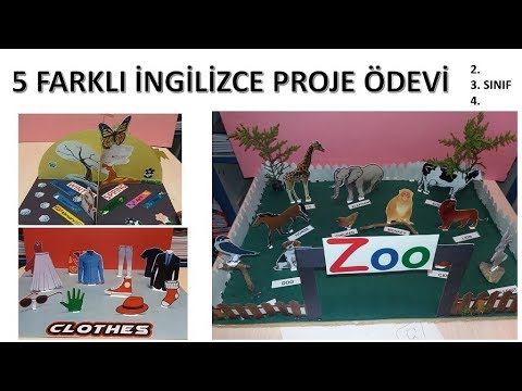 İNGİLİZCE  KONULU FARKLI PROJELER 5 in 1 +