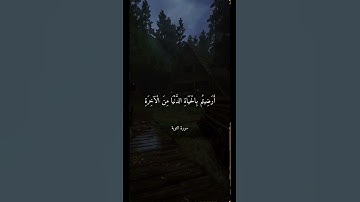 تلاوة خاشعة بصوت الشيخ علي جابر ارح سمعك #علي_جابر #quran