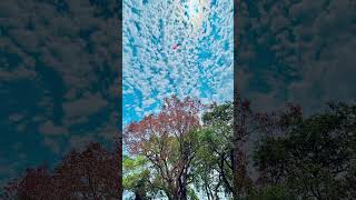 Sanson mein Teri nazdikiyon ka itra tu bol de#video #mv33