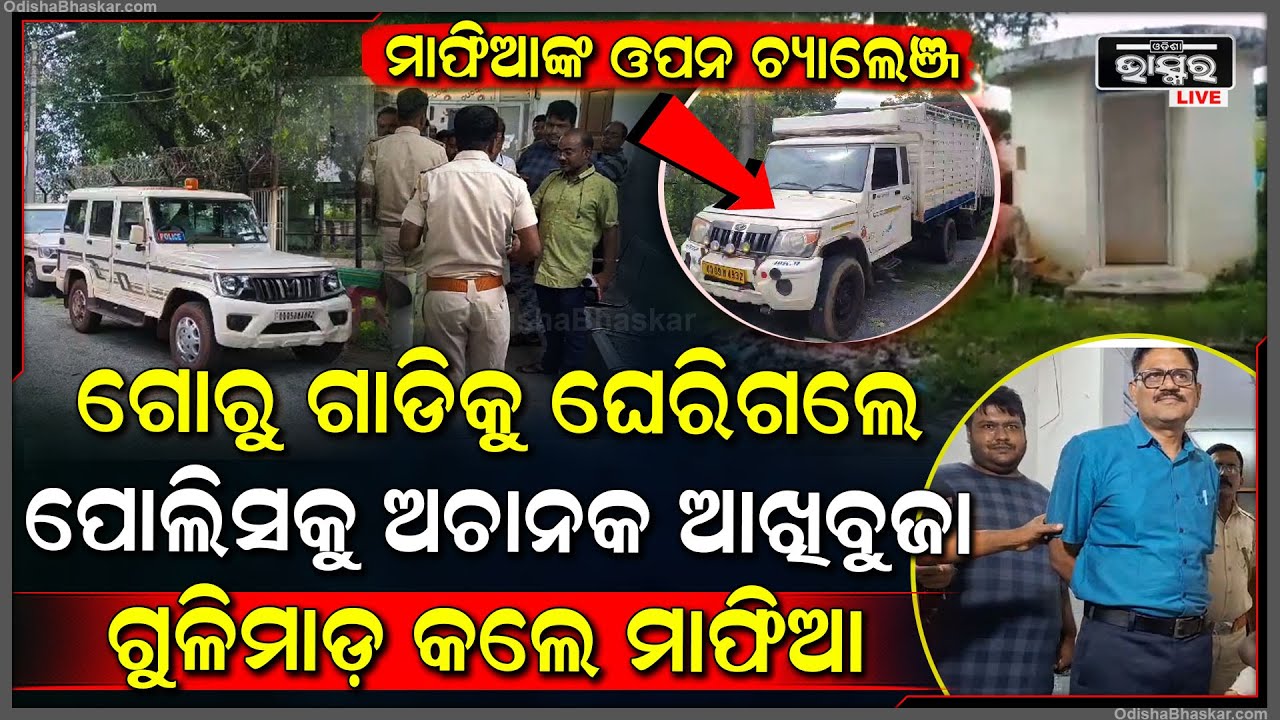 ଗୋରୁ ମାଫିଆଙ୍କ ଚାଲିଥିଲା ଗୁଣ୍ଡରାଜ ହଠାତ୍ ପହଞ୍ଚିଗଲା ପୋଲିସ.. ମାଫିଆଙ୍କ ଗୁଳିମାଡ଼ର ଦେଲେ ପାଲଟା ଯବାବ ଦେଲେ ପୋଲିସ