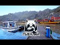 Russian Fishing 4  РР4 Русская Рыбалка 4  - 210 #   (PC - 2018) #stream