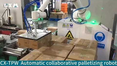 CX-TPW Automatic Robotic Palletizer | High Speed Carton Palletizing Machine