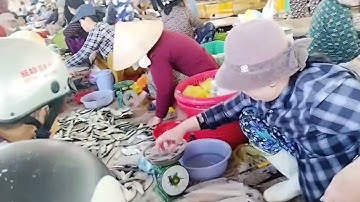 Dạo quanh chợ Phan Rí | bán hải sản tươi sống rất nhiều.