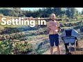 Homesteading - We get back to it! 💚