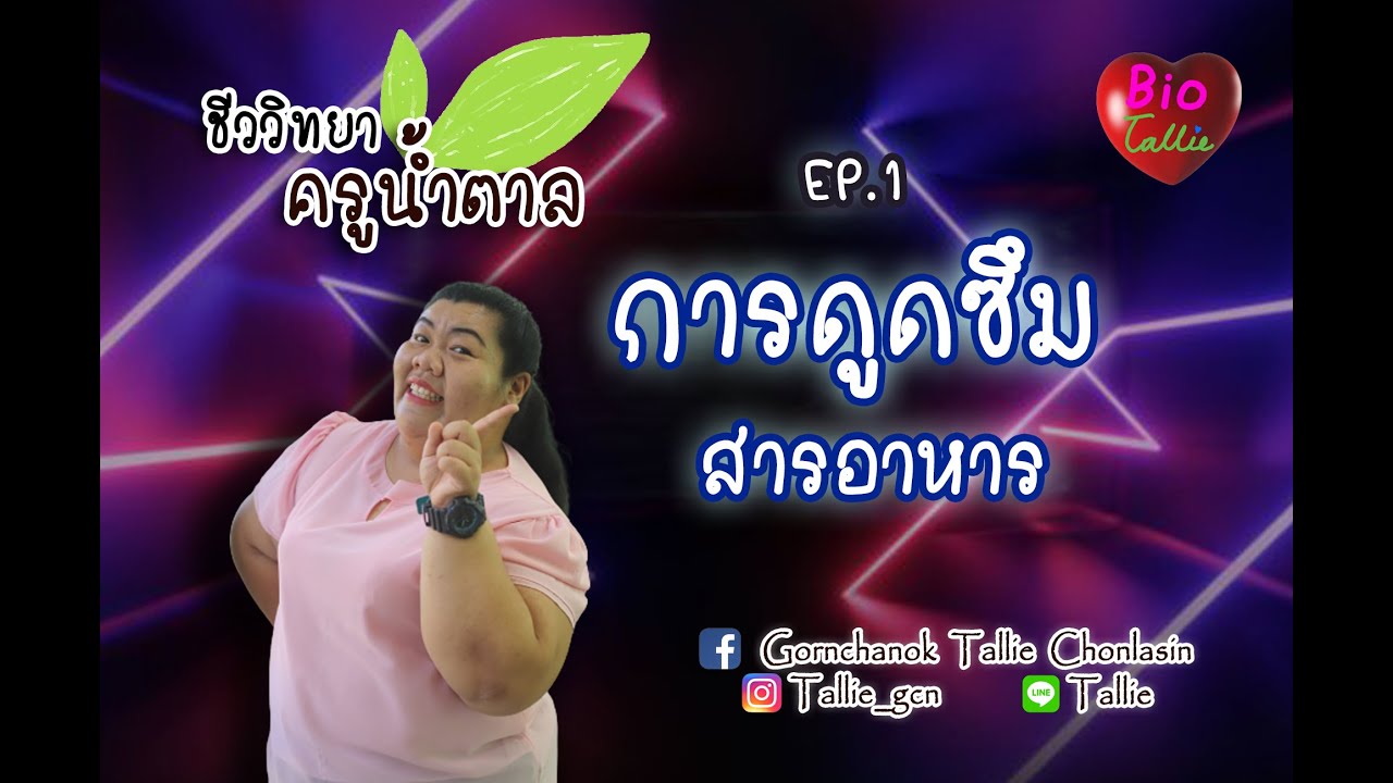 Bio Tallie : Ep.1 การดูดซึมสารอาหาร (ในลำไส้เล็ก) : ชีววิทยาครูน้ำตาล | อัปเดตใหม่การ ดูด ซึม สาร อาหารเนื้อหาที่เกี่ยวข้อง