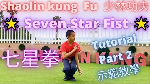 ► Shaolin Kung Fu Training Tutorial - Seven Star Fist (Qi Xin Quan ✨ 七星拳) #少林功夫 #功夫教學 示範 教學 🙏 Part 2