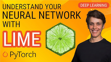 Local Interpretable Model-agnostic Explanations (LIME): PyTorch Deep Learning Tutorial