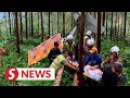 Sungkai plane crash: Both survivors identified