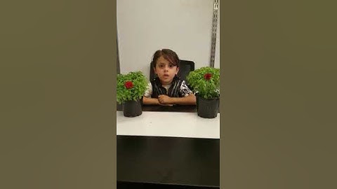 الطفل محمود محمد الصاخوري سورة الكوثر