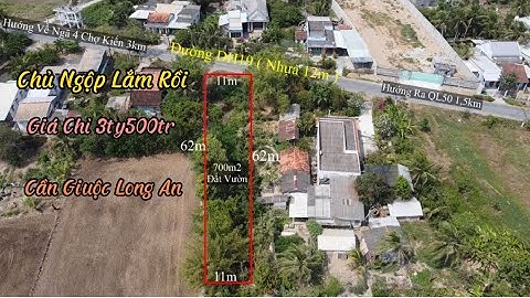 Đất Cần Giuộc , Long An Bán 700m2 Đất Vườn Mặt Tiền Đường DH19 Chủ Đang Rất Ngộp