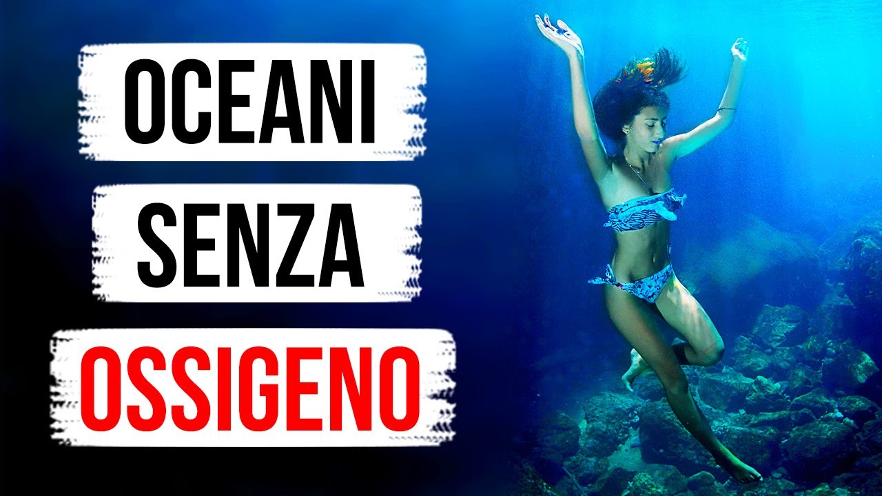 Che Succederebbe se Domani non ci Fosse Più Ossigeno nell’Oceano - YouTube