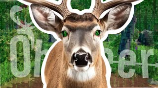 Becoming the AI in Oh Deer
