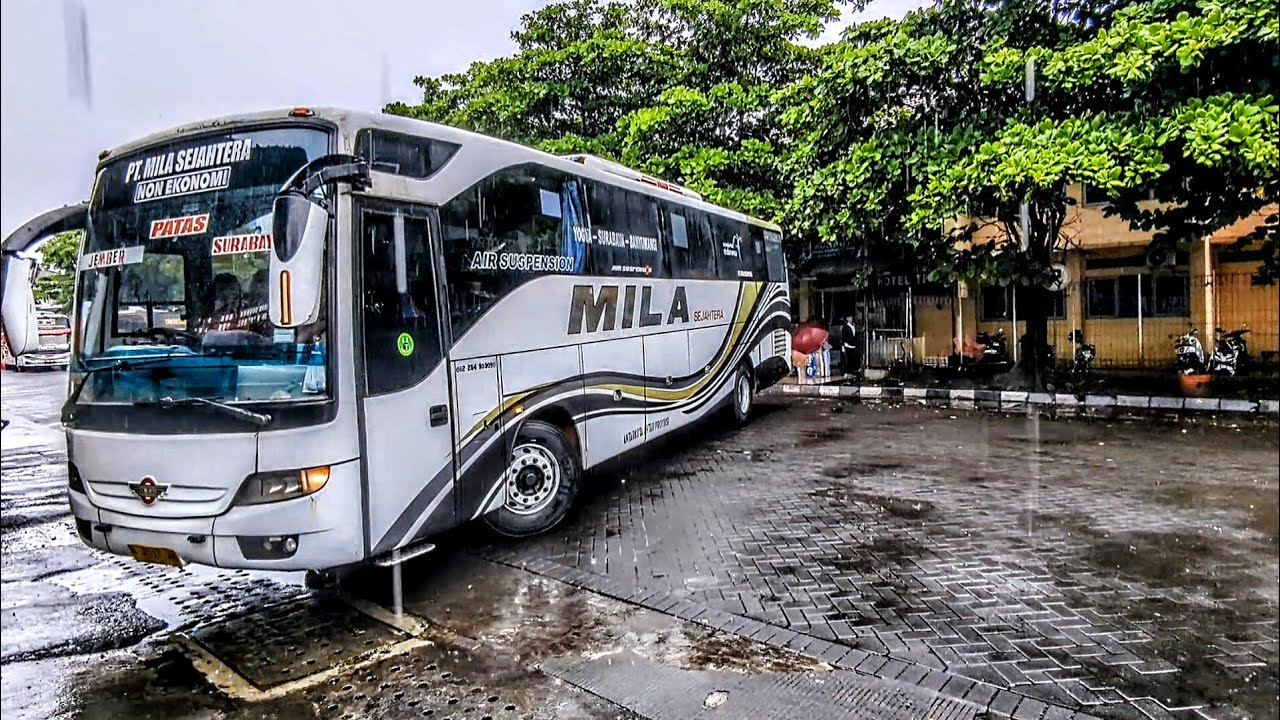 SEHARI CUMA 1 KEBERANGKATAN, TAPI SELALU JALAN! MILA SEJAHTERA PATAS JOGJA - SURABAYA - JEMBER