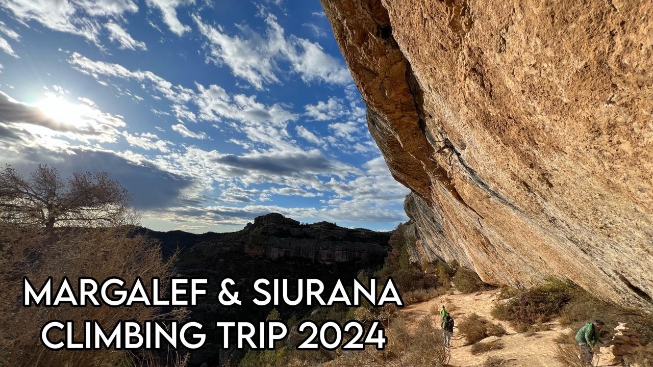 ВОСПОЛЬЗОВАНИЕ МАРГАЛЕФ И СИУРАНА 2024