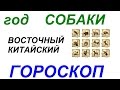 Год Собаки. Восточный гороскоп от психолога Натальи Кучеренко.