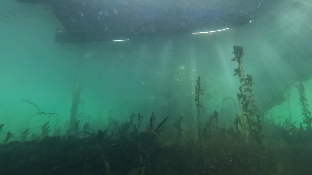 Tauchen in Panheel mit Megasichtweiten! Ende Oktober 2023