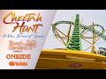 2D ULTRA WIDE VIEW ONRIDE POV @Cheetah Hunt BuschGardensTampaBay FL 4K