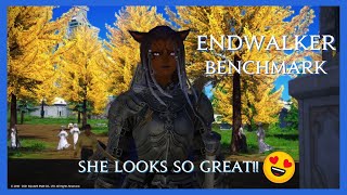 Endwalker Benchmark - Cereiza Ballad