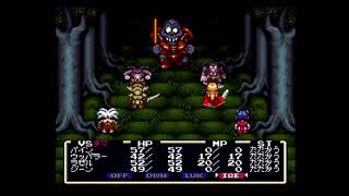 しんすけの近況報告2025年3月4日