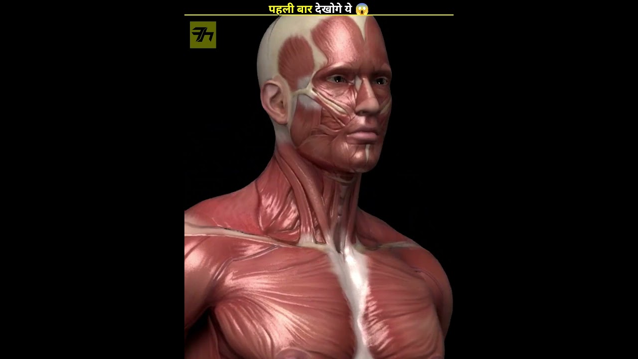 Why Do We Get Muscle Cramps 😱