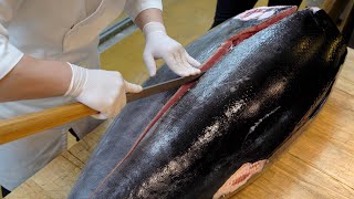 260 кг Удивительный гигантский навык резки тунца | Корейская уличная еда