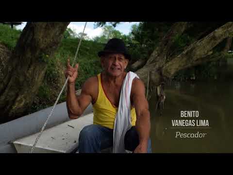 BUENAVISTA MEMORIAS RIBEREÑAS MICRODOCUMENTAL