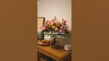 اللهم اجعل القرآن الكريم ربيع قلوبنا❤ #ايات_القرآن_الكريم #ايات_قرانيه_قصيره