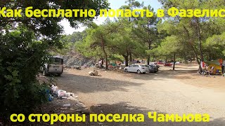 картинка: Фазелис бесплатно со стороны поселка Чамьюва-тропа Вам в помощь(по просьбам подписчиков)-Часть 1