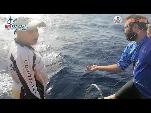 صيد سمك بياض تسقيط في البحر الأحمر حماطة   