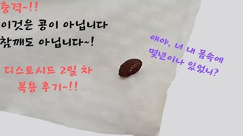 디스토시드 2일간 복용하고 난 후기 - 제 몸에 기생충이 많이 살았군요...쩝