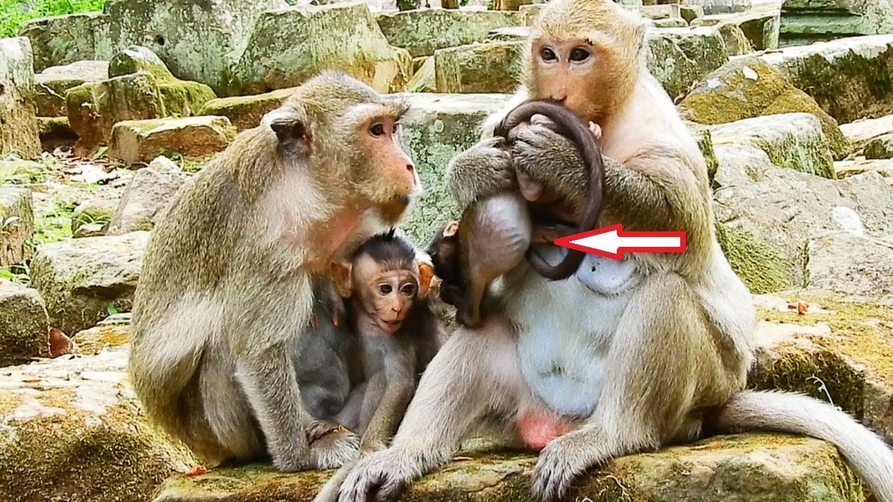 foundry HOLDING SCARE ! Mom Dana Scare Much Holding Danila Ready Escapes Bad King