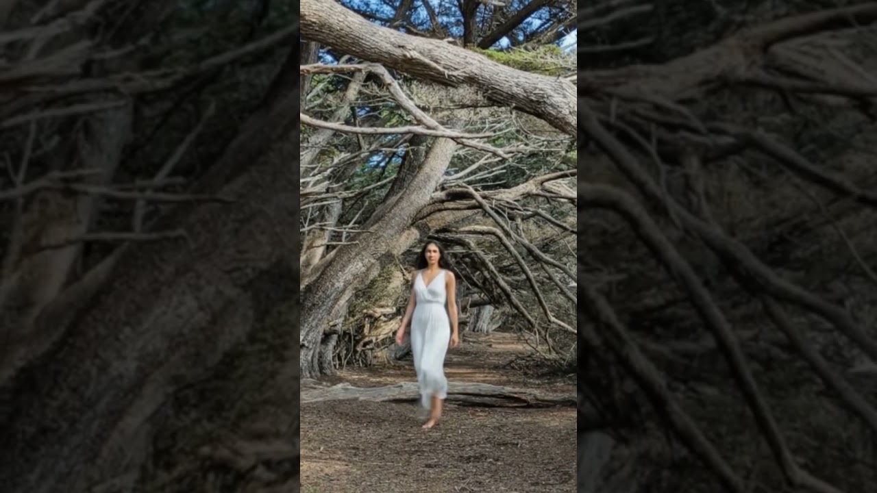 Леди выходит из леса в бухте Полумесяца.