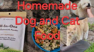 Homemade Dog and Cat Food