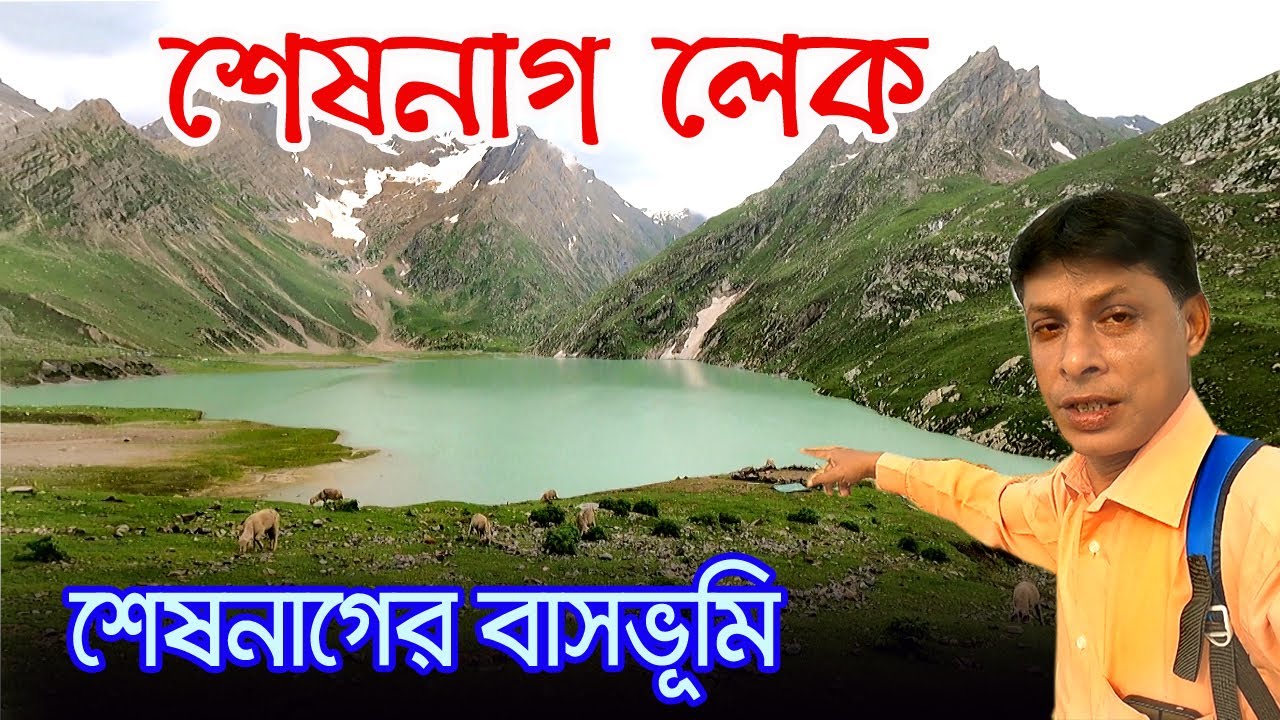 Amarnath Yatra 2023 | স্বর্গের মত সুন্দর পিসু টপ থেকে শেষনাগের যাত্রা পথ |Pissu top To Sheshnag Lake