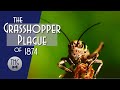 The Great Kansas Grasshopper Plague of 1874