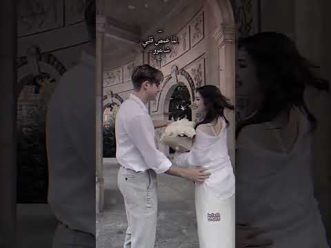 كل لحظه تزيد غلاوتو شيرين حالات واتس اب انستا سناب ستوري