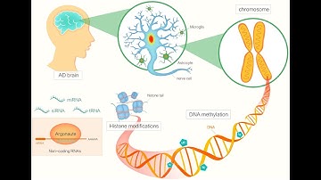 Decoding Epigenetic Regulation in Diseases (3 Minutes)