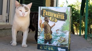 Freshwater fly : tutorial e recensione del gioco sulla pesca + modalità solitario screenshot 4