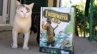 Freshwater fly : tutorial e recensione del gioco sulla pesca + modalità solitario screenshot 2